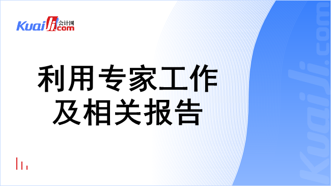 利用专家工作及相关报告