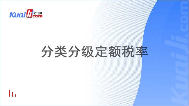 分类分级定额税率