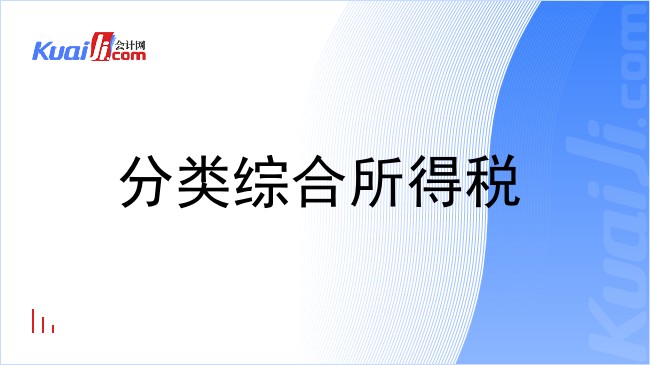 分类综合所得税