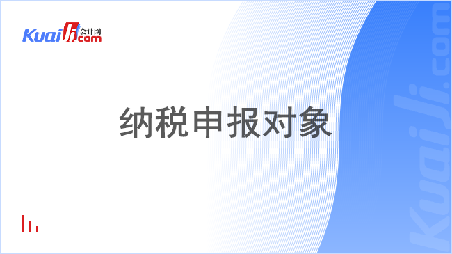 纳税申报对象