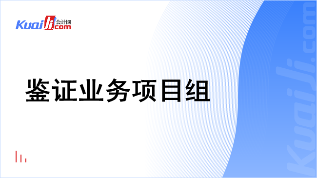 鉴证业务项目组