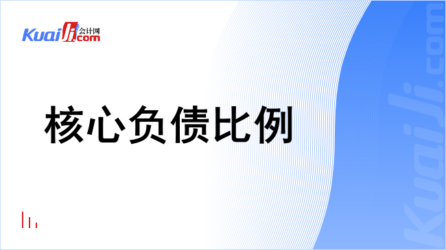 核心负债比例